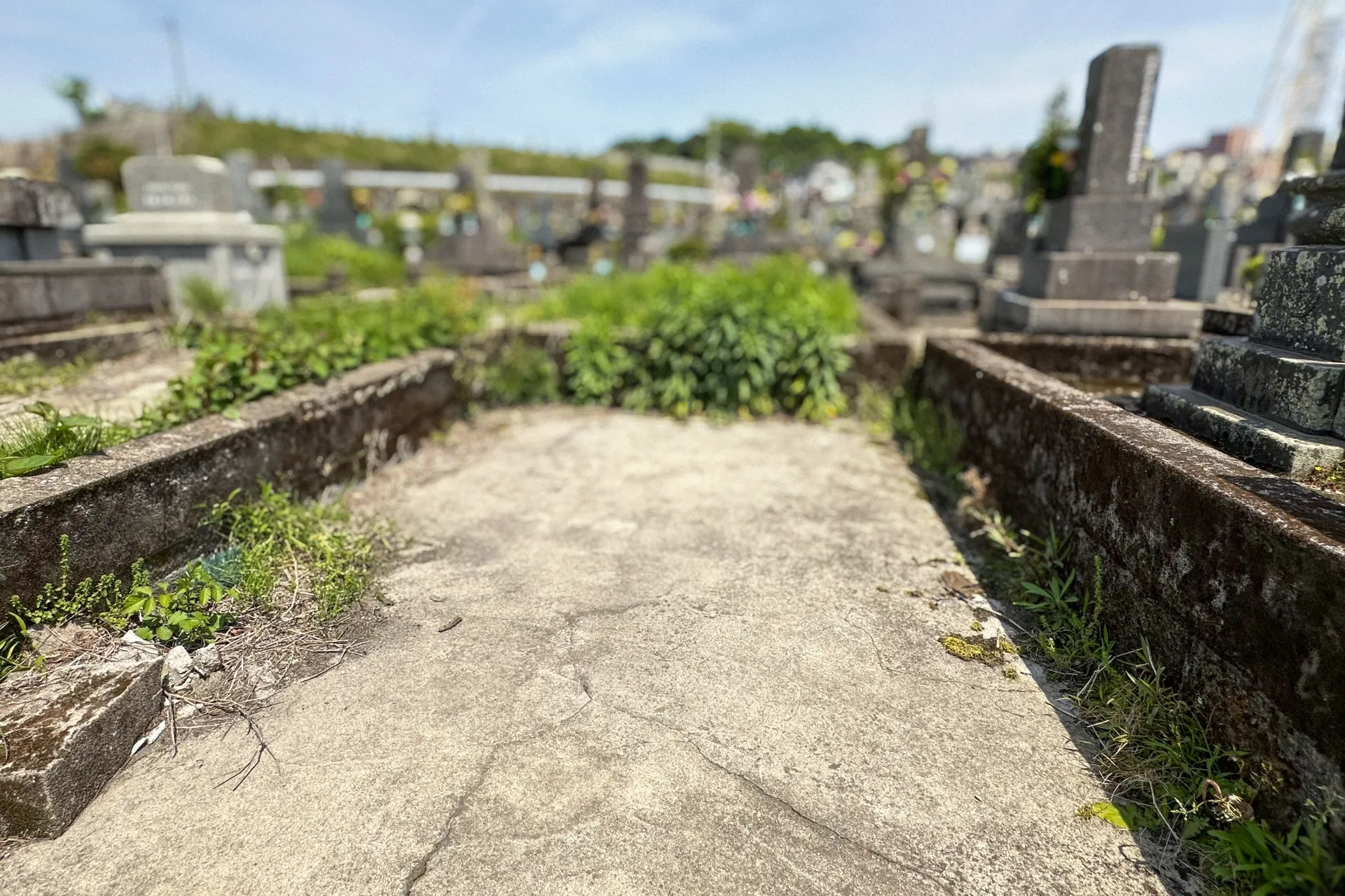 和泉市の墓じまいで失敗しないサービス選びと3つのポイント