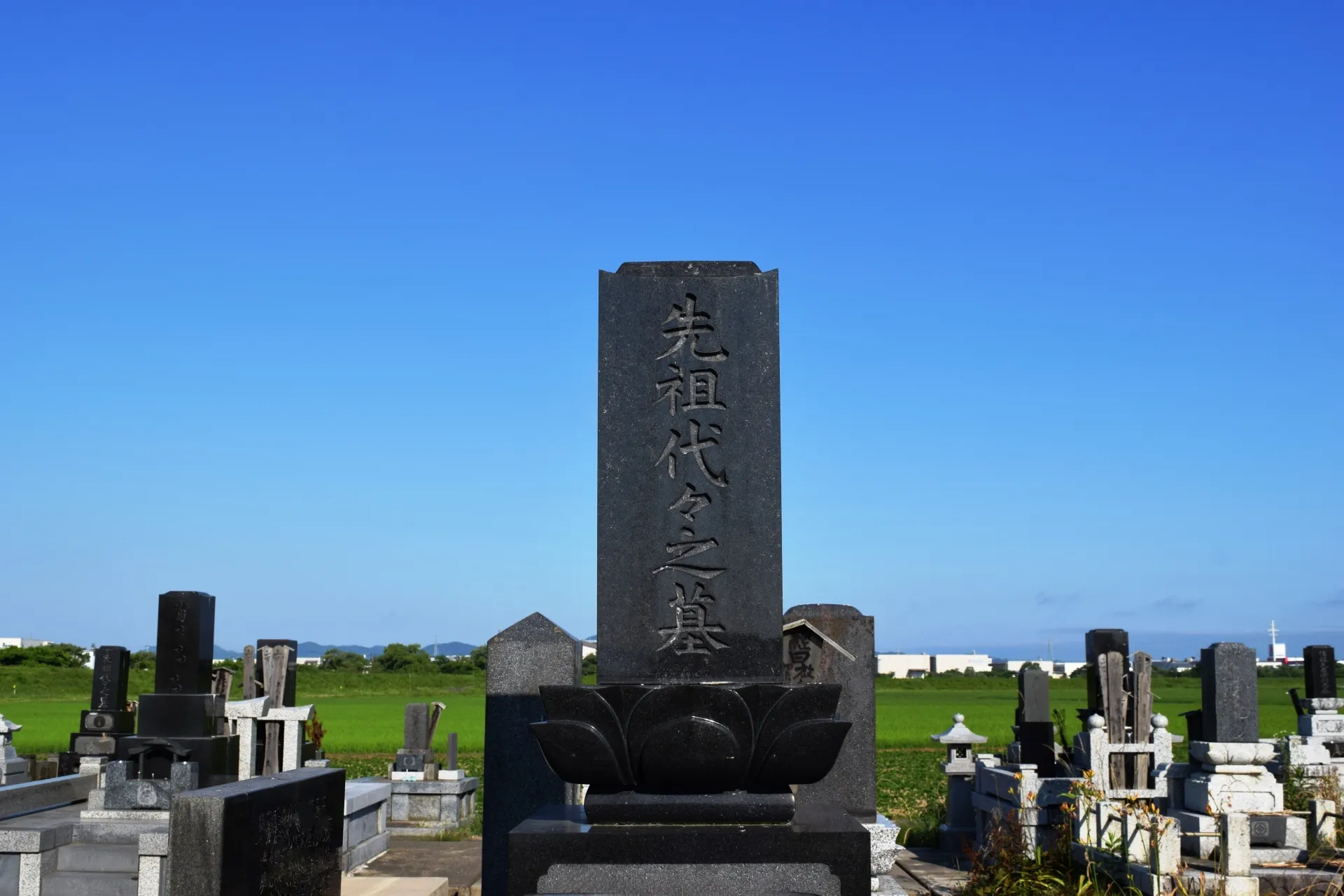 和泉市で墓じまいができるおすすめサービスの特徴比較まとめ